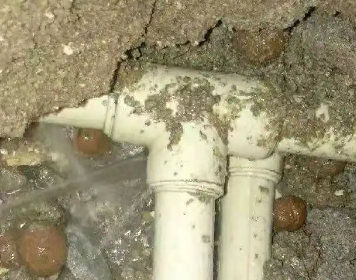 浉河测漏水多少钱