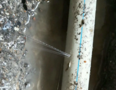 浉河测漏水哪家好