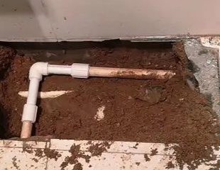 浉河测漏水哪家好