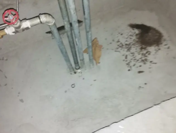 浉河卫生间测漏水价格明细