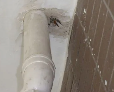 浉河漏水检测哪家好